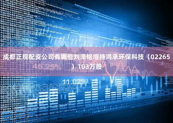 成都正规配资公司有哪些刘泽铭增持鸿承环保科技（02265）103万股